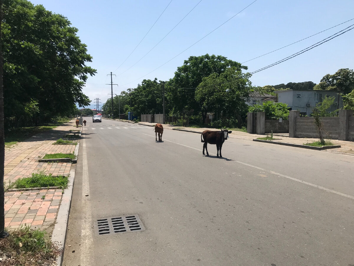 Вот так выглядят улицы Кобулети 