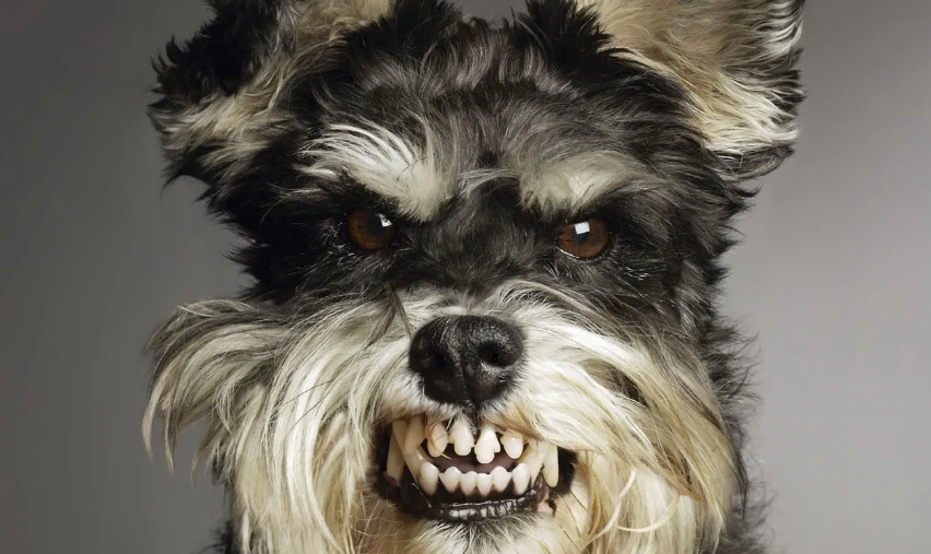 Селфи, когда злюсь))