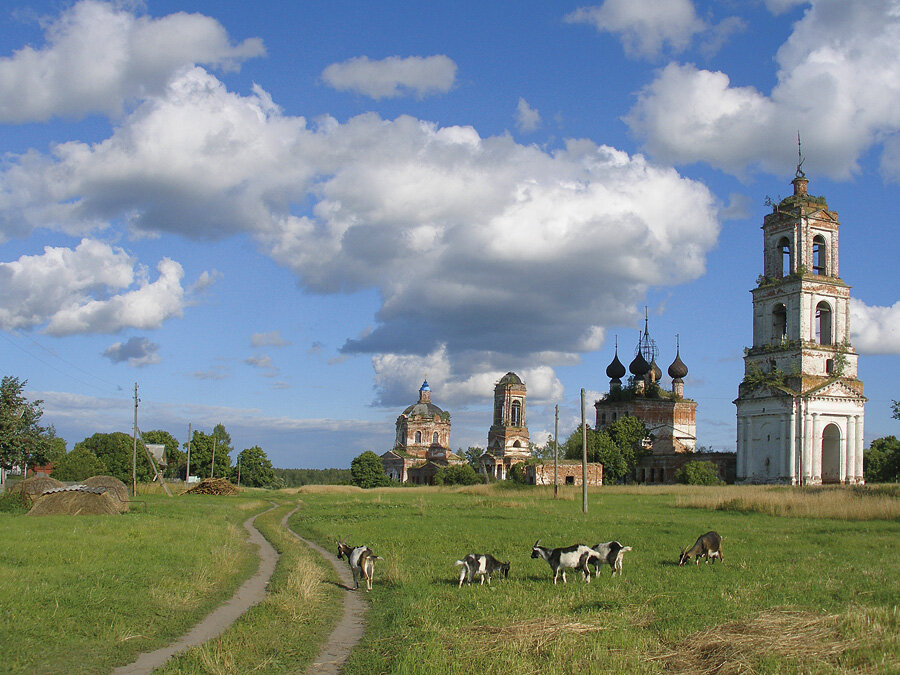 Село войти