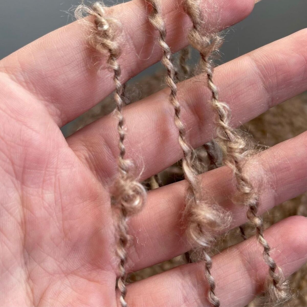 Развитие всех сфер жизни (ЯндексКартинки)