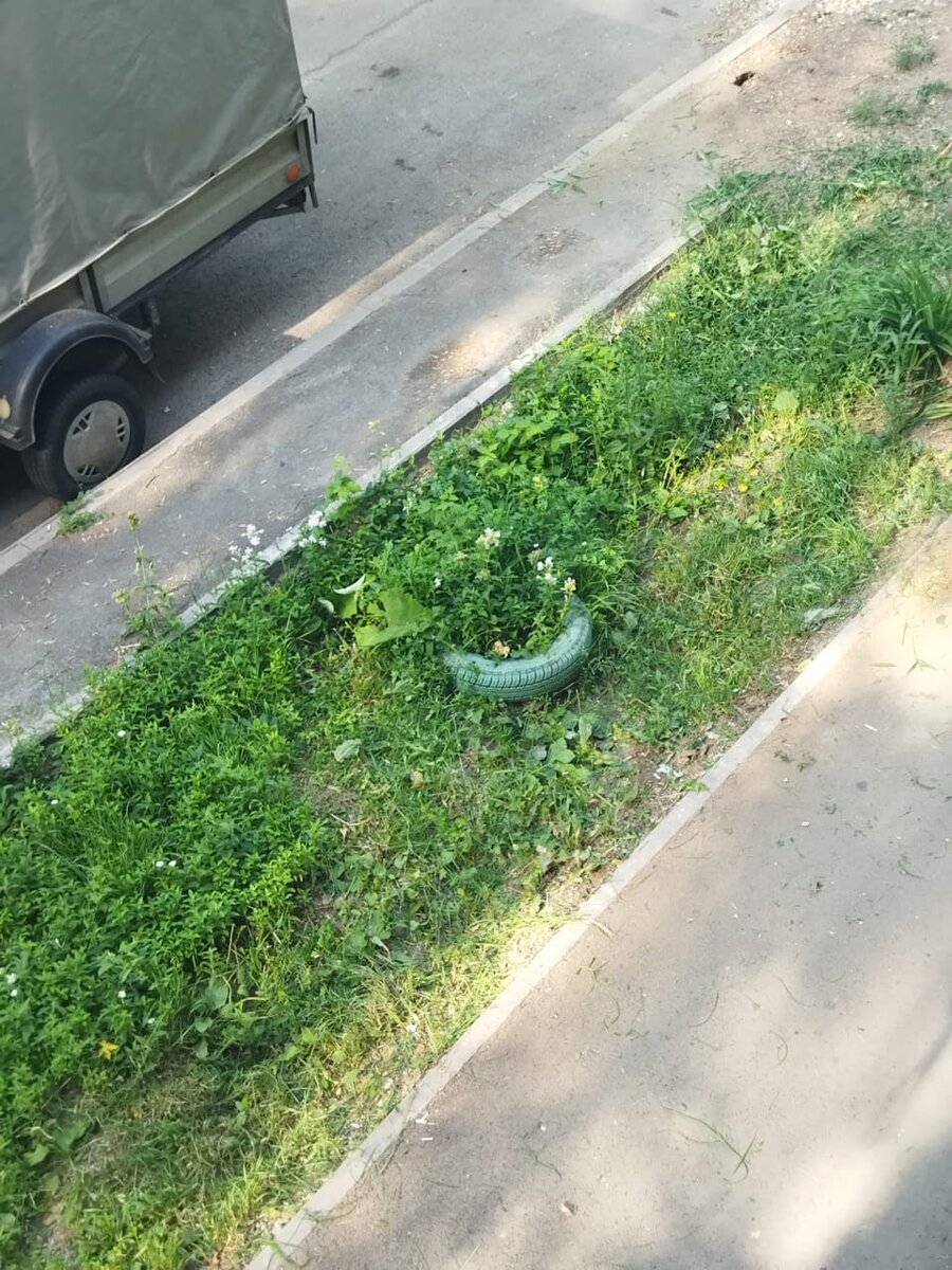 Закосил так закосил. Ему бы от армии так косить)