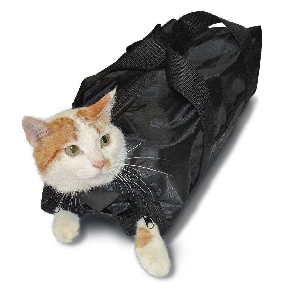 Примерно такую сумку используют в клиниках. Это лучше, чем силой удерживать вырывающегося питомца. Фото из интернета.