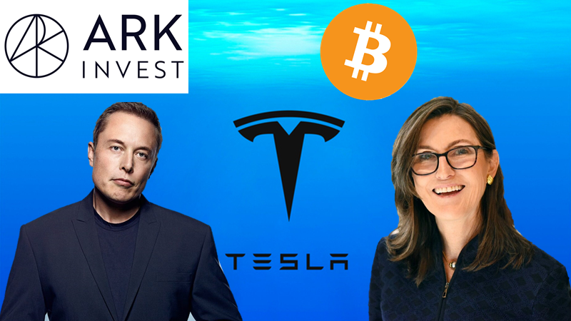 Все игроки на арене