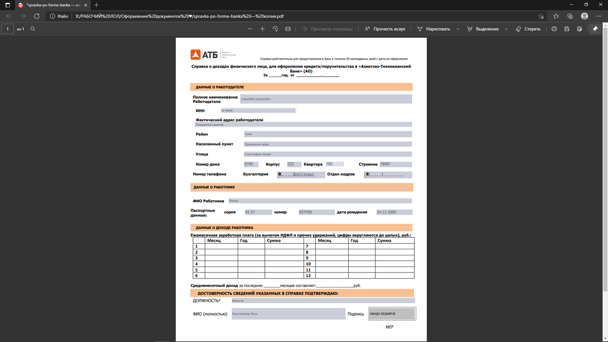 вид документа при вводе данных в форму при помощи браузера