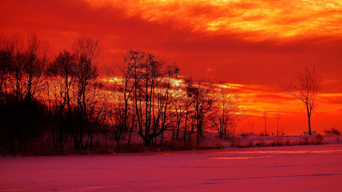 Яндекс картинки, свободный доступ