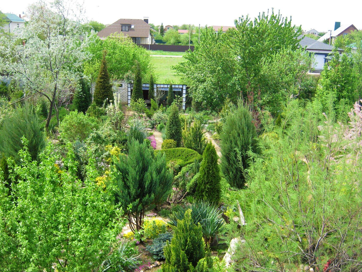 Вид на сад из окна моей комнаты.