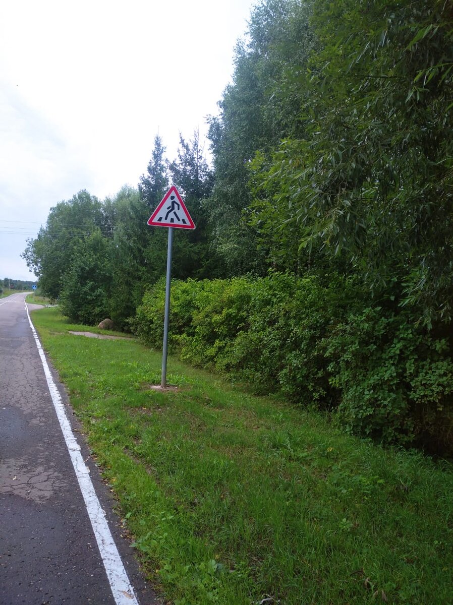 По три ряда деревьев и кустарников