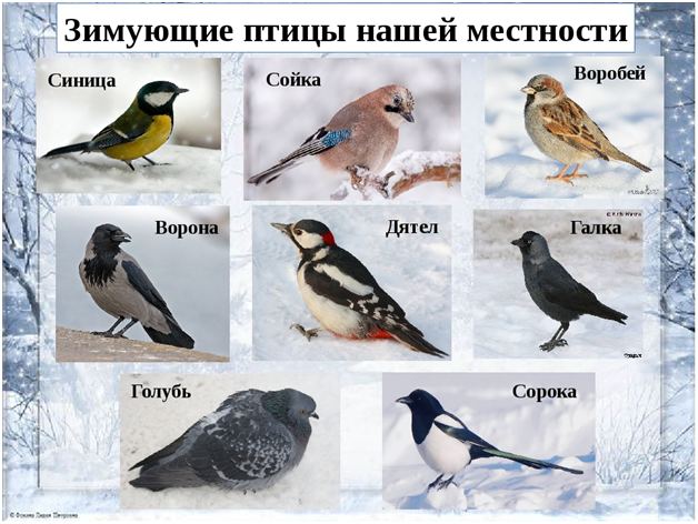 Почему на Чане умирает рыба: кто и как ставит диагноз озеру во Владивостоке (ФОТО)