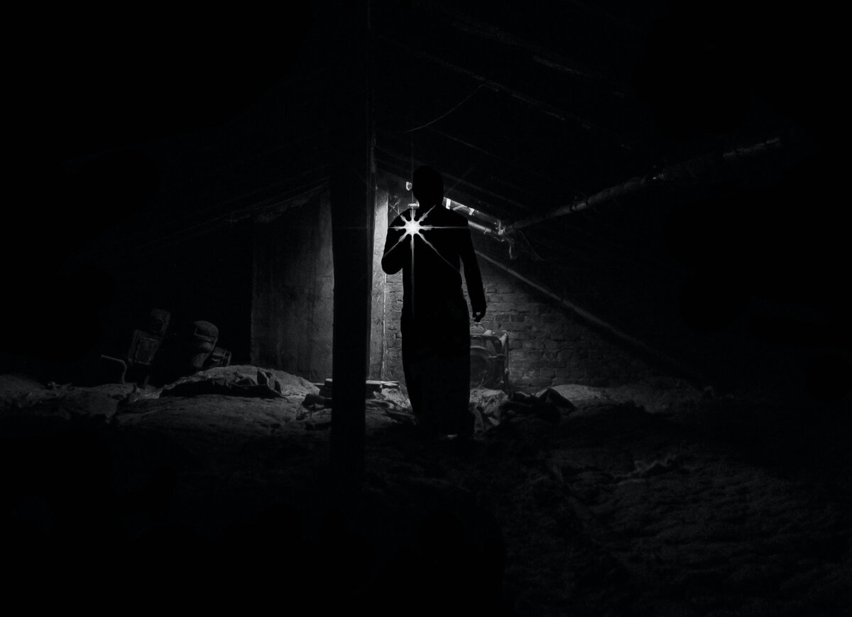 Фото с сайта Pexels