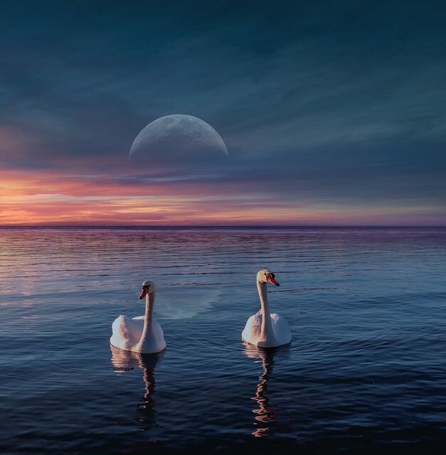 Изображения: pixabay.com