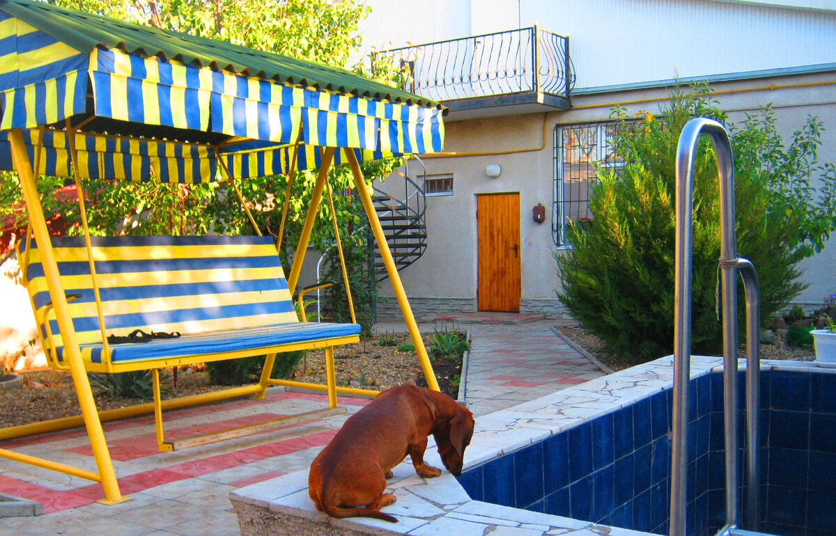 Что там в бассейне, прыгнуть или нет...