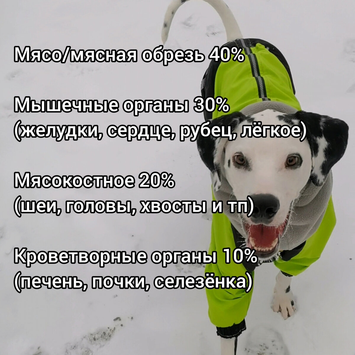 норма кормления на натуральном питании