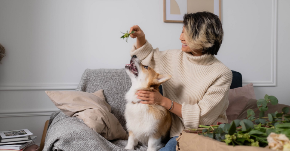 Дома всегда уютно, когда ждет верный питомец. Фото автора Ron Lach: Pexels