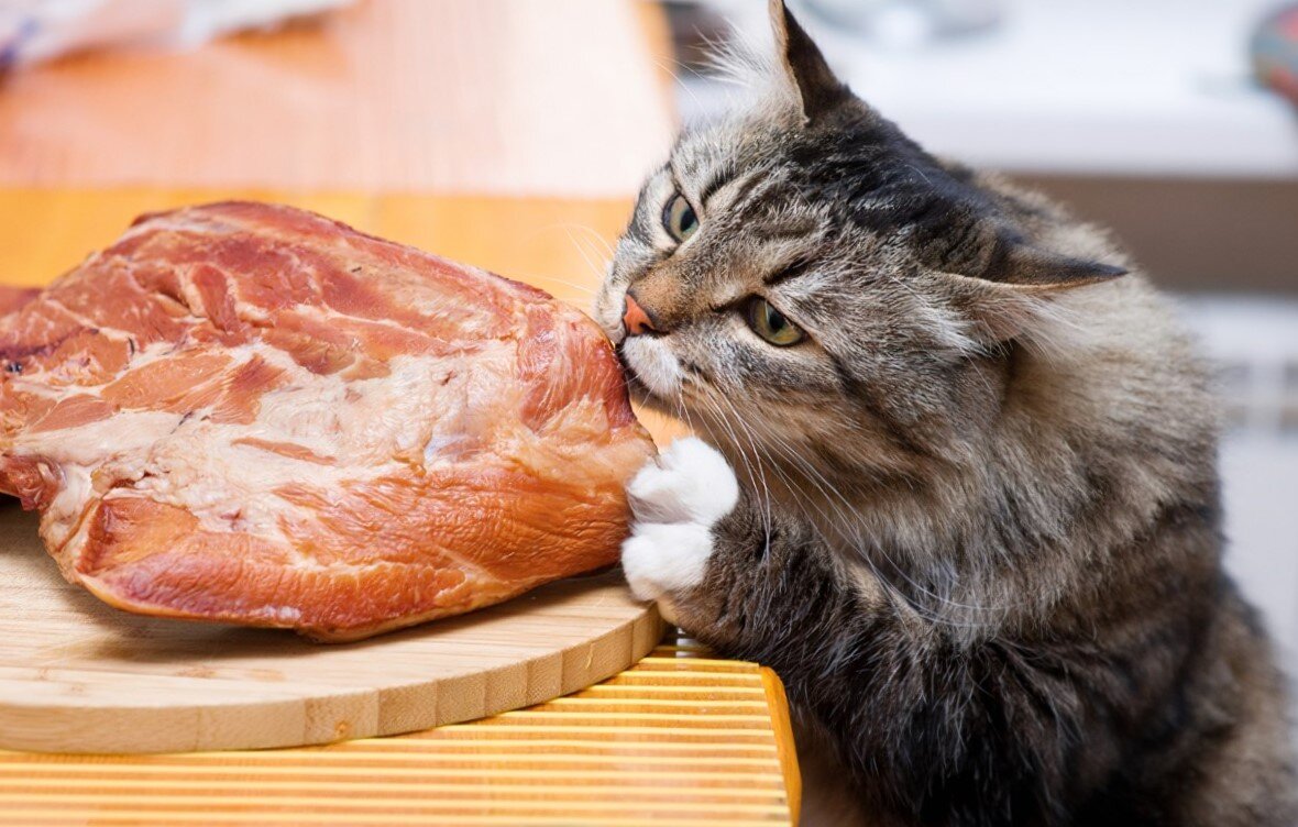 Фото из Интернета