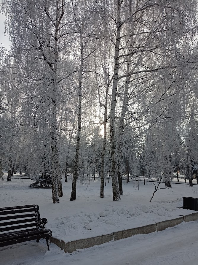 Зима. Фото автора