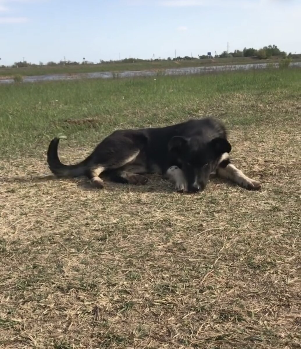 С одной стороны вода, с другой дорога