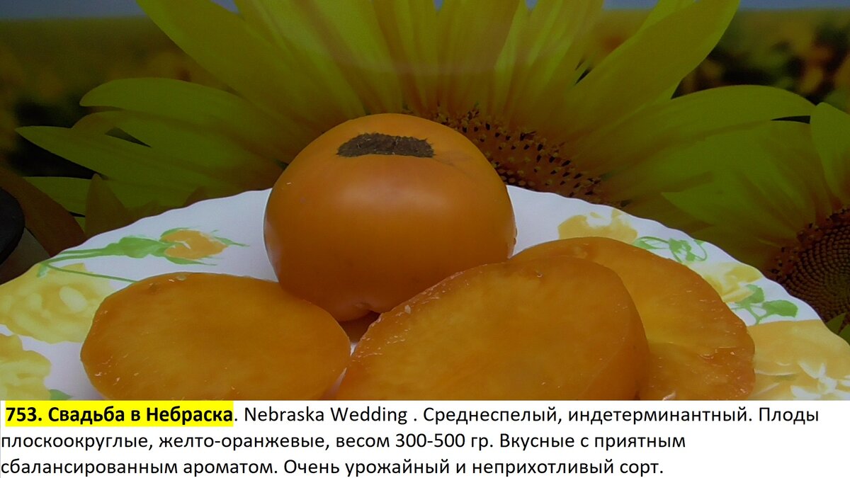 -72