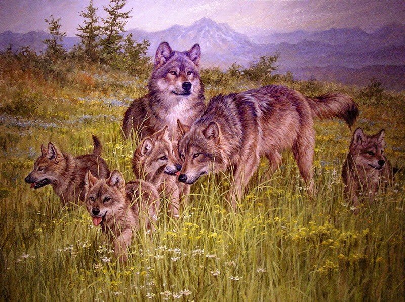 фото взято из интернета.