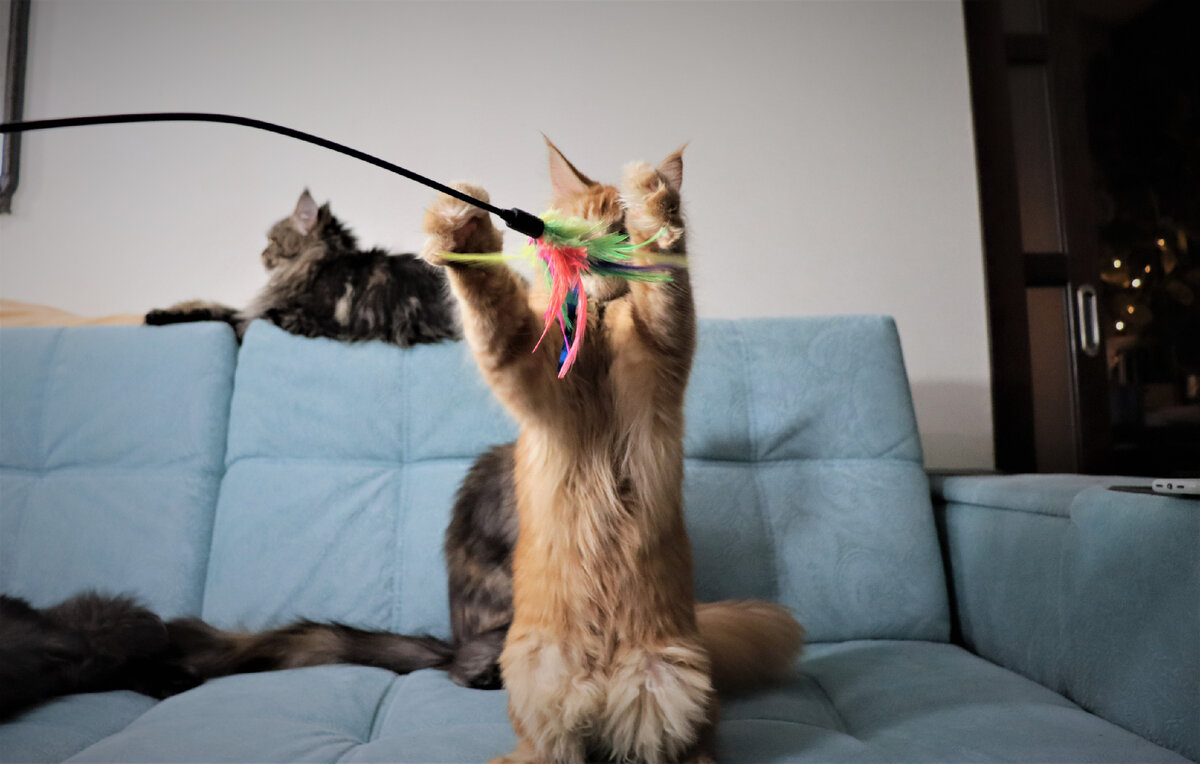 Фото из личного архива.