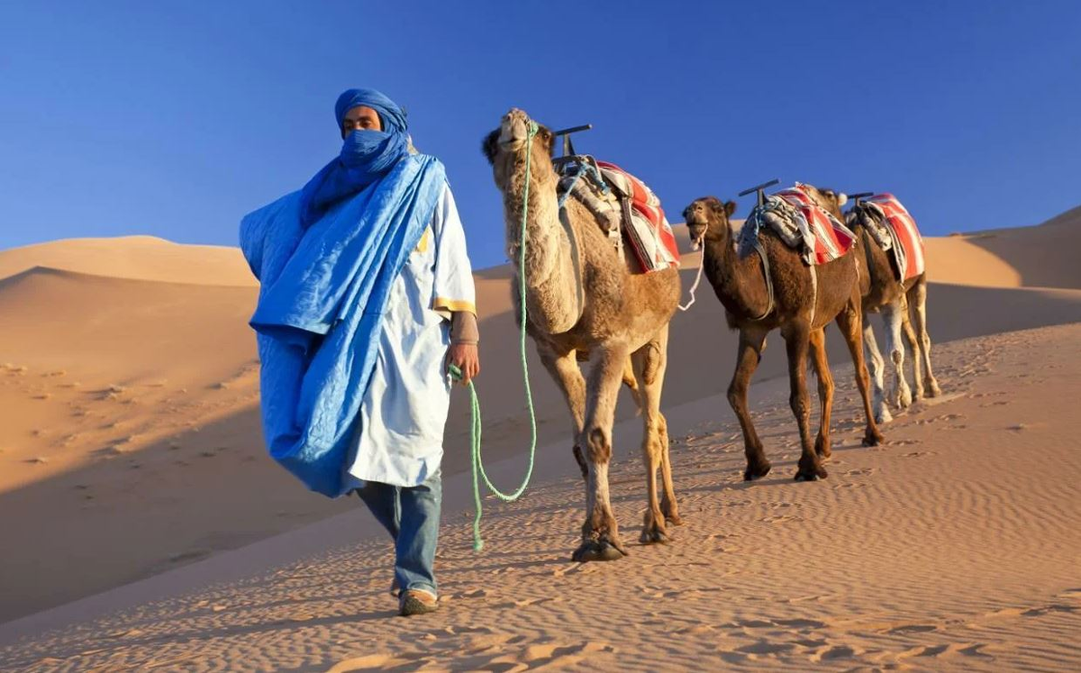 Арабы проживают. Берберы и туареги. Бедуины туареги. Туареги кочевники Северной Африки. Туареги племя кочевников Африки.