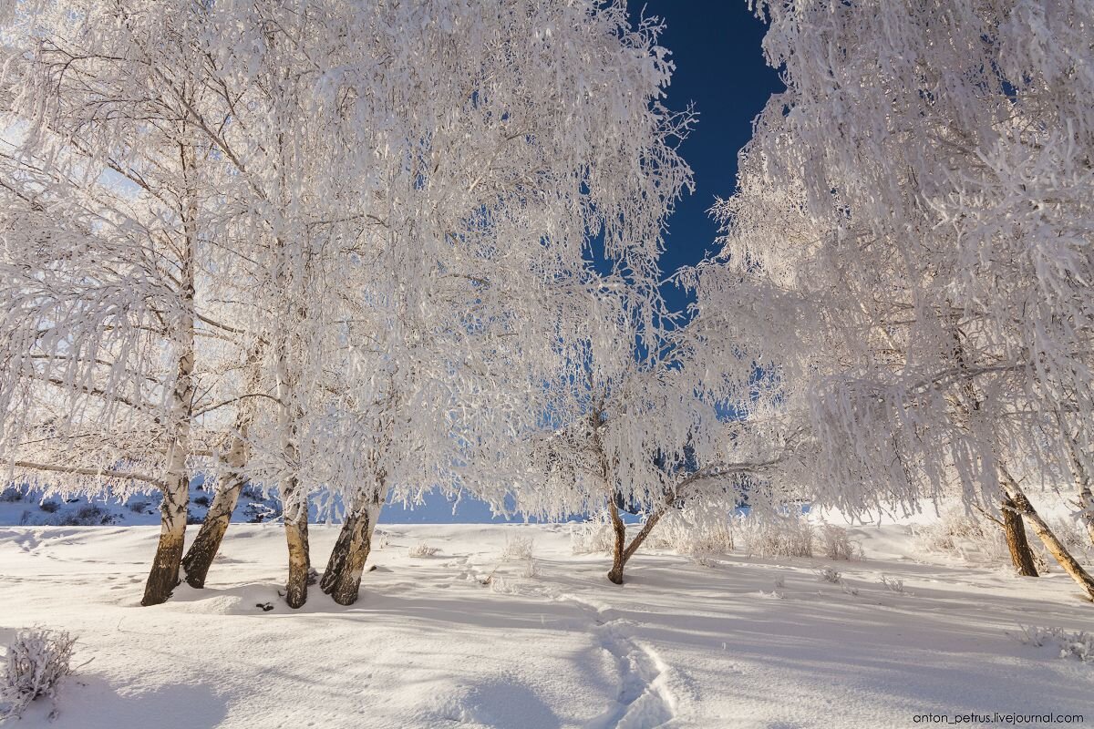 Зимняя красота