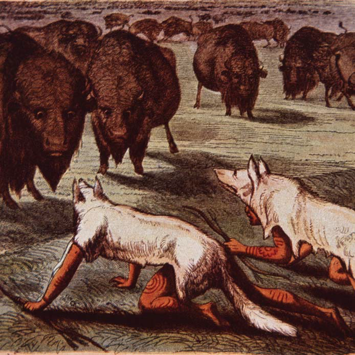 Индейцы охотятся на бизонов- на картине Дж. Кэтлин. 1840 г.