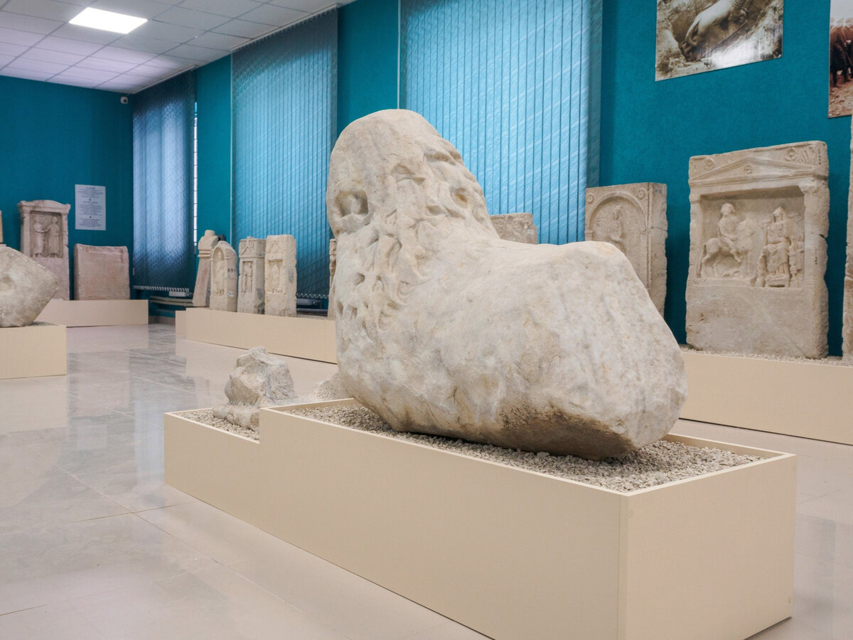 Экспонаты выставки «Мифы античного Боспора» // Фото: пресс-служба Восточно-Крымского музея-заповедника / Анатолий Щербак