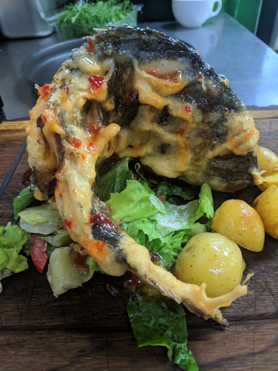 Просто рыбка думаете?