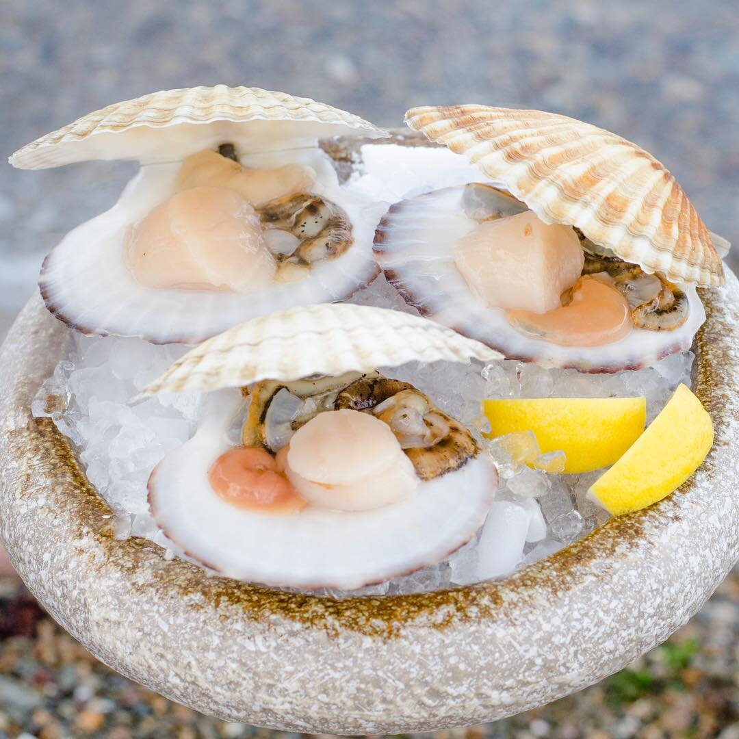 Приморский гребешок с фестиваля "На гребне!"