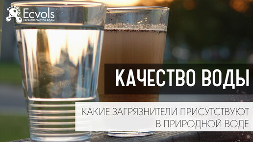 Качество воды и какие загрязнители присутствуют в природной воде