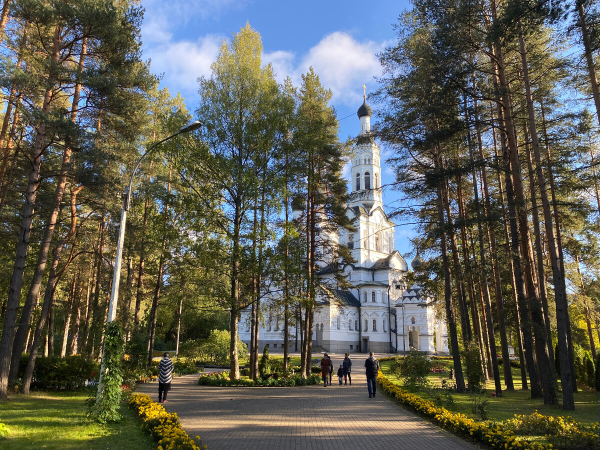 Пригороды Петербурга: Зеленогорск. Что посмотреть за один день и как связан  город с финским Терийоки | ОтЛичная Жизнь | Дзен