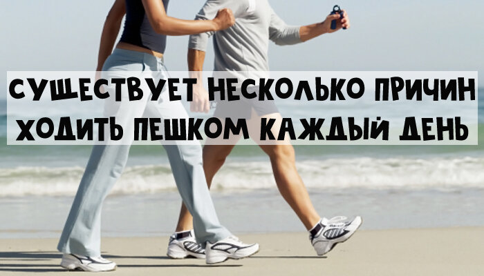 Calorizator.ru