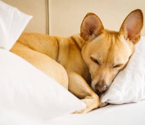 Регулярные физические нагрузки