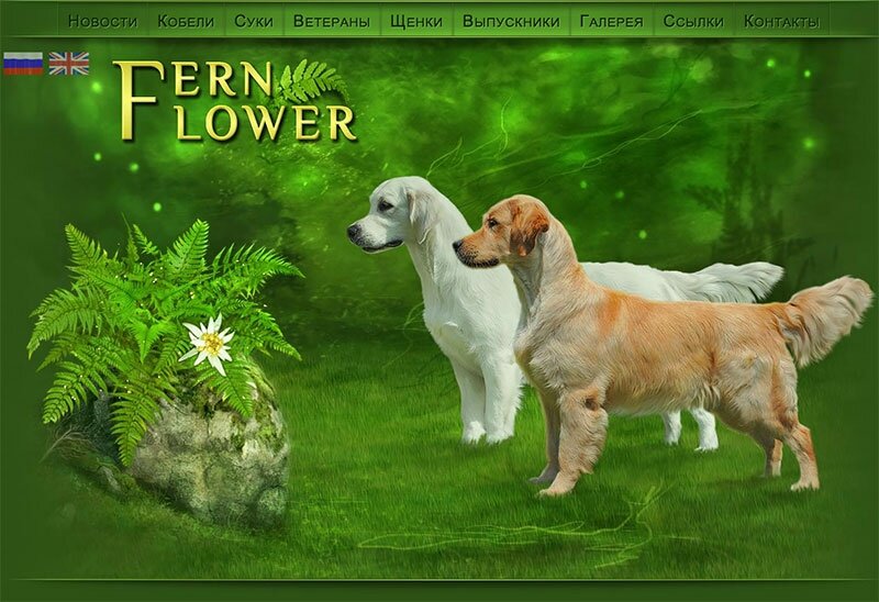 Сайт ff-retriever.com