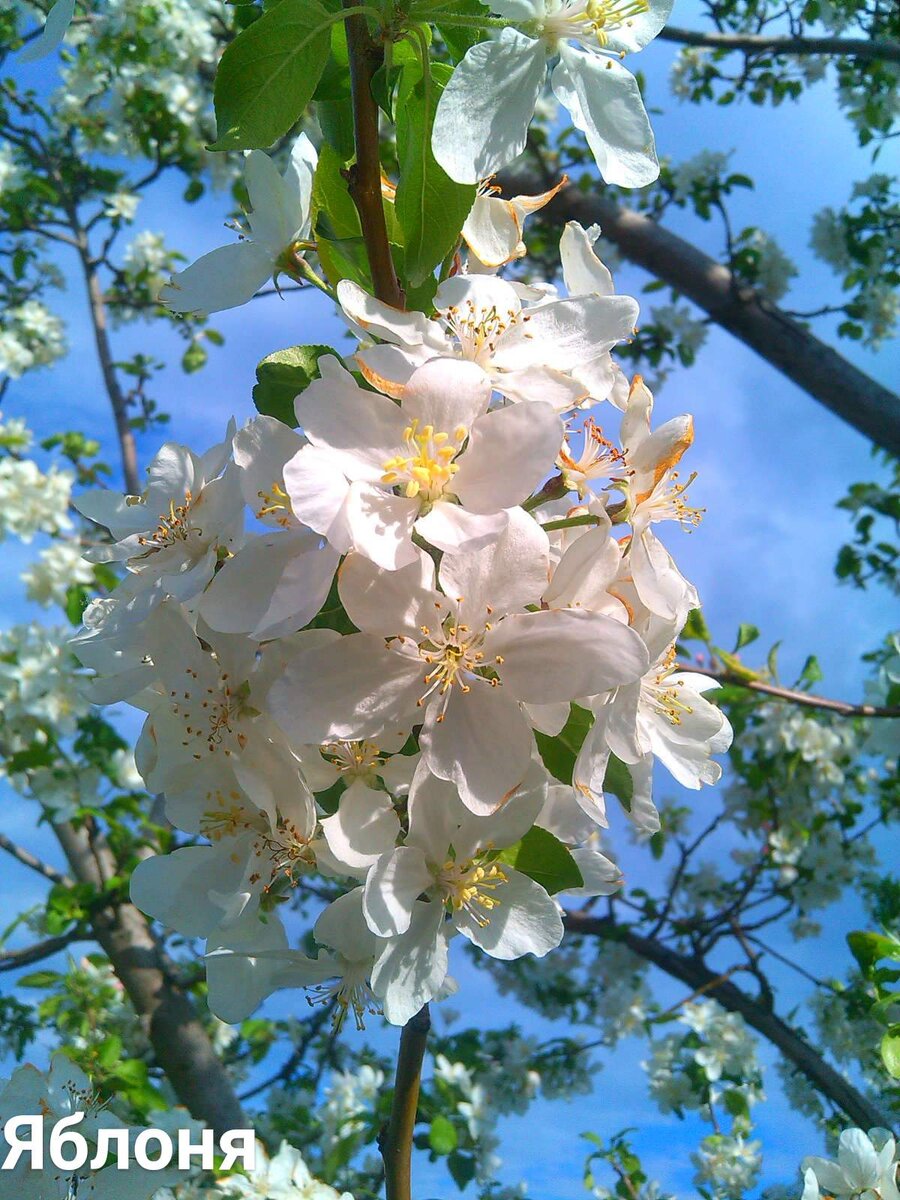 Фото из интернета