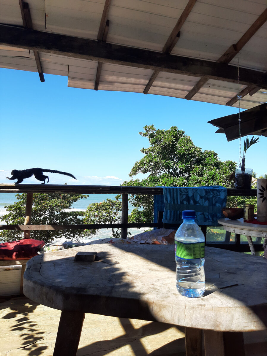 Терасса на 3 этаже хостела с обезьянкой