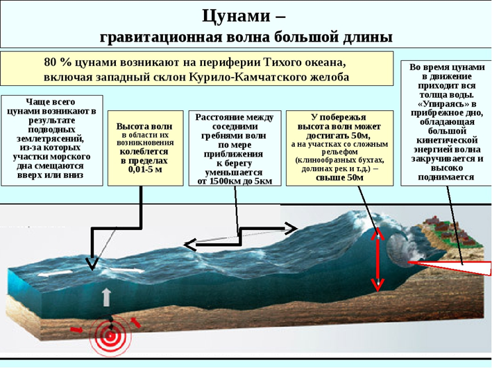 Цунами сообщение по географии. ЦУНАМИ схема возникновения. Схема образования ЦУНАМИ ОБЖ. Причины возникновения ЦУНАМИ. Механизм возникновения ЦУНАМИ.