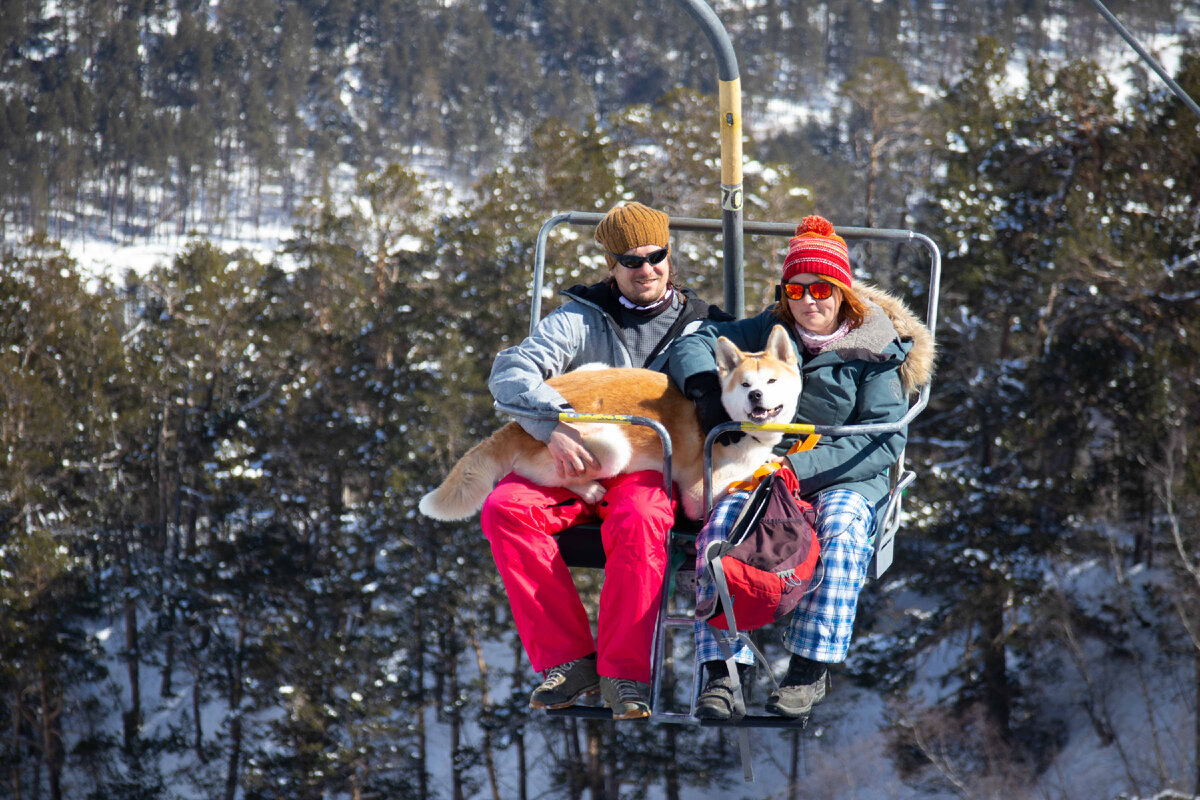 Первая очередь канатной дороги 