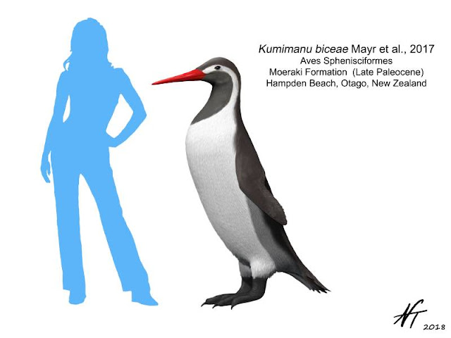 Эй, красотка, прошвырнёмся? 