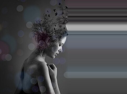 Фото скачано с сайта  pixabay.com