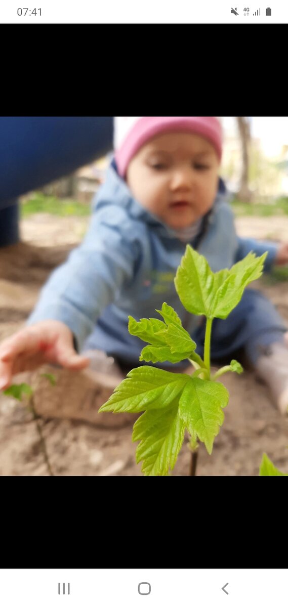 Парад победы не снимала:)