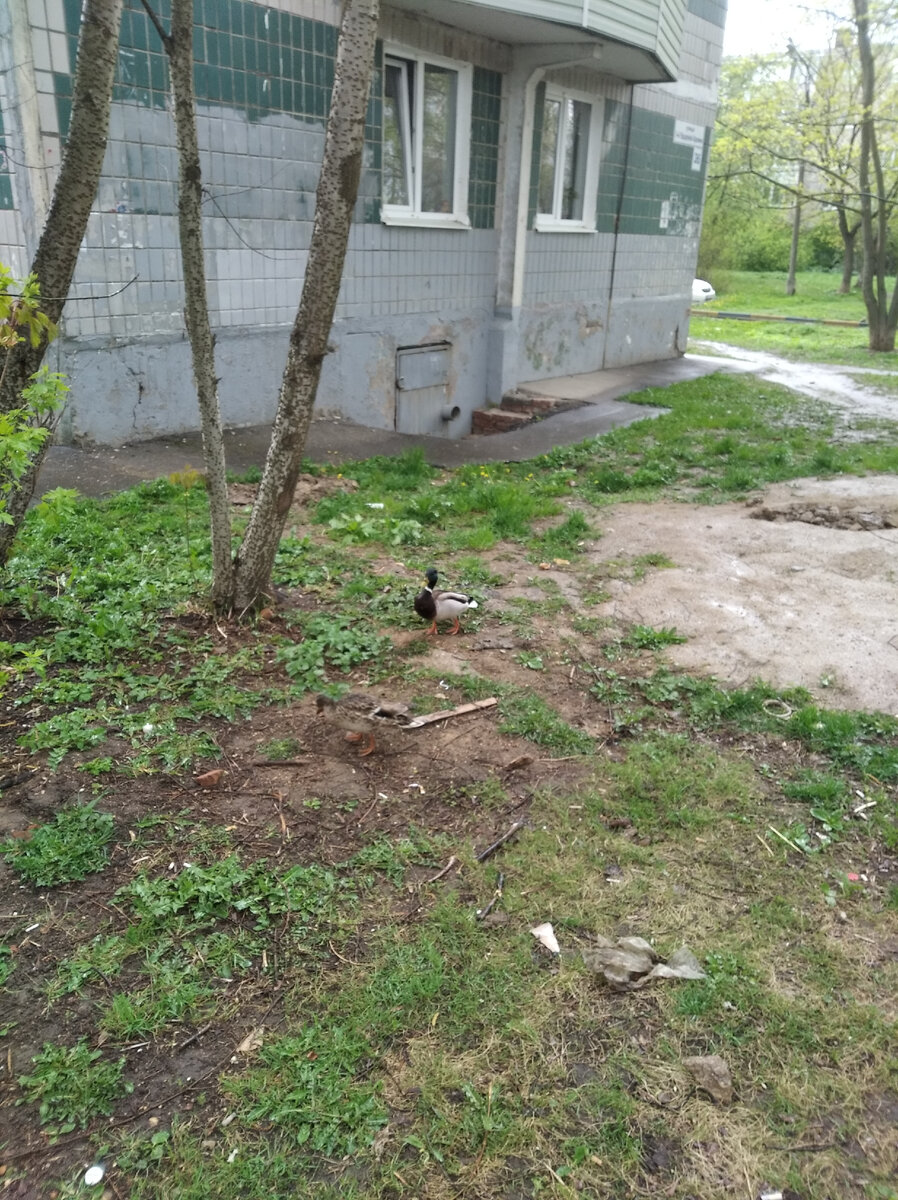 Кого только не встретишь