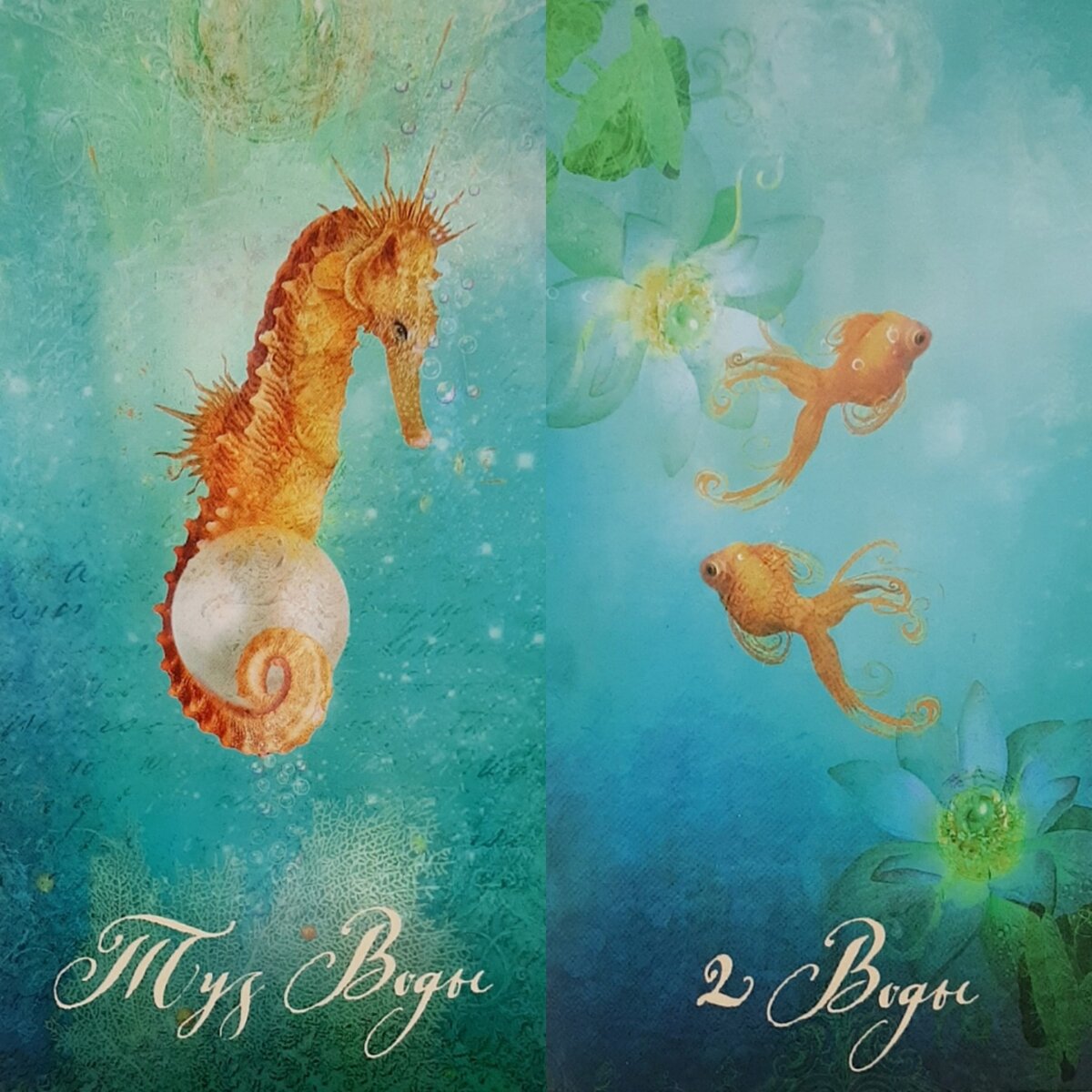 Фото автора @lanamir