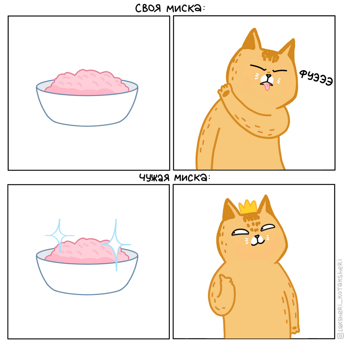 Котики научат вас, что в чужой тарелке еда всегда вкуснее!
