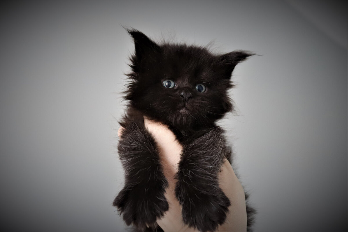 Фото из личного архива. Уйнесси