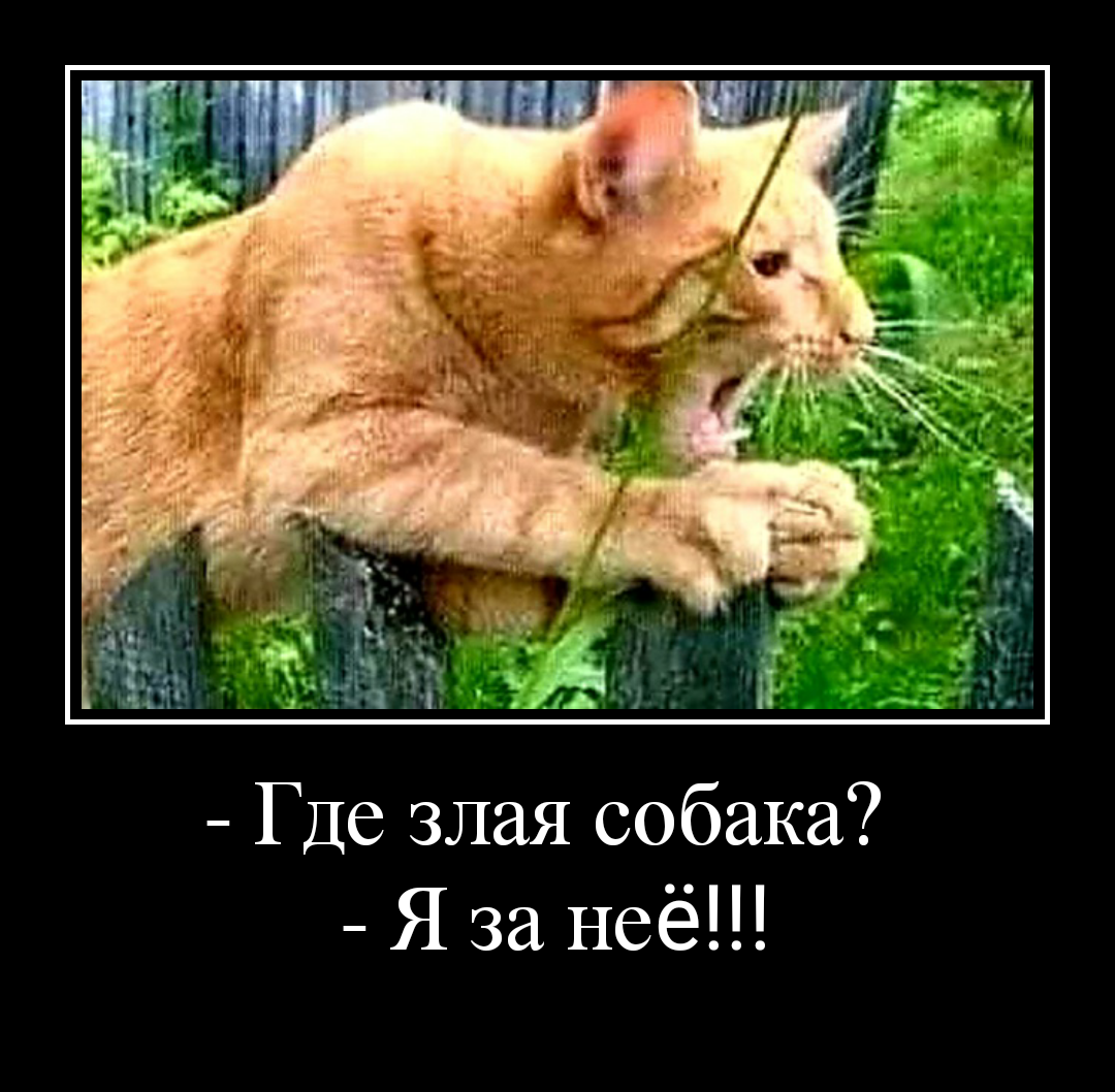 Посмеялся сам - поделись с другом!!!