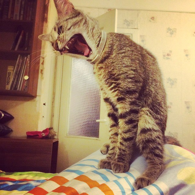 Улыбочку 😺
