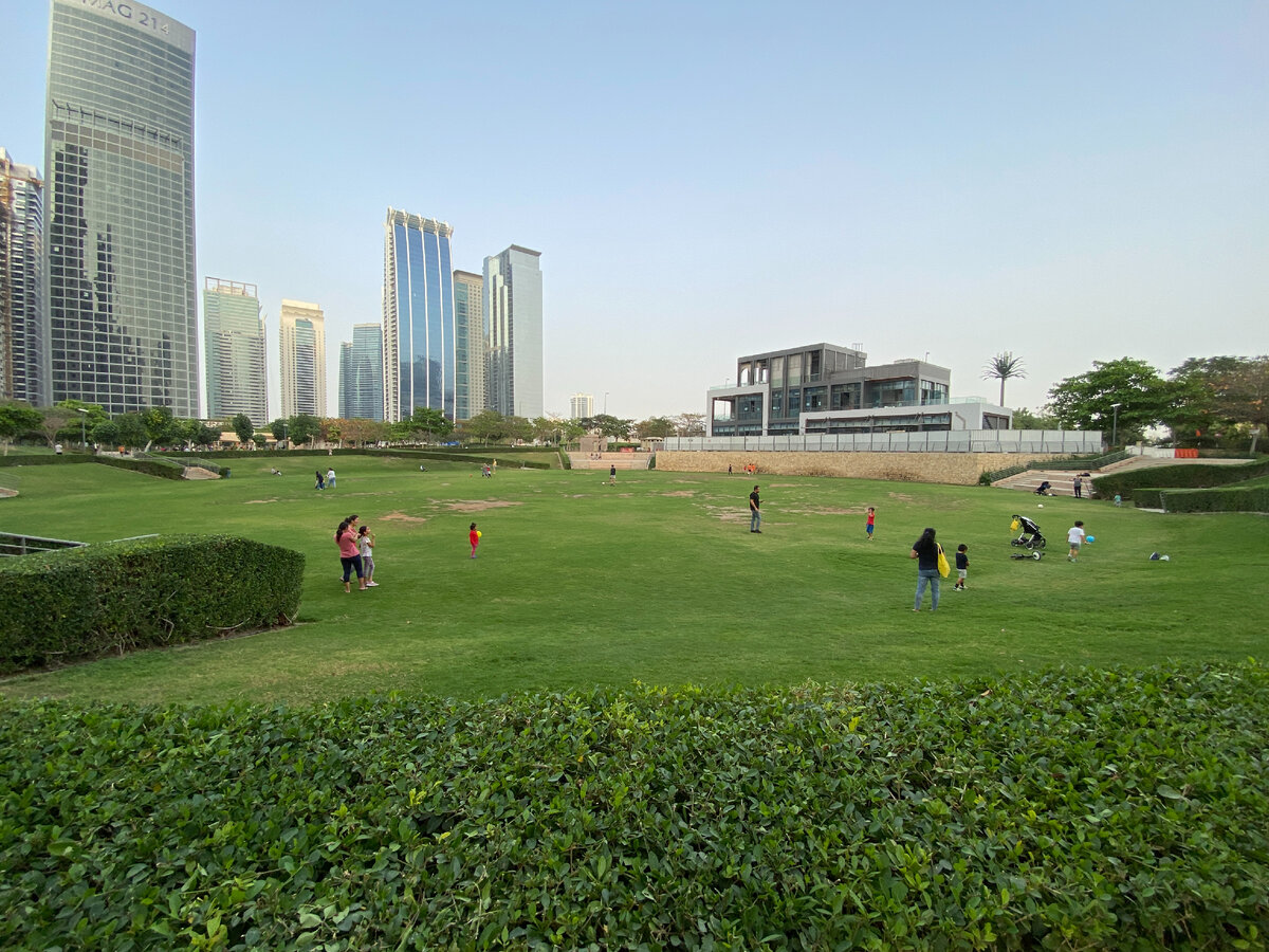 Парк в Дубае зеленая лужайка. Дубай зеленые Рацонв. Greens дубай