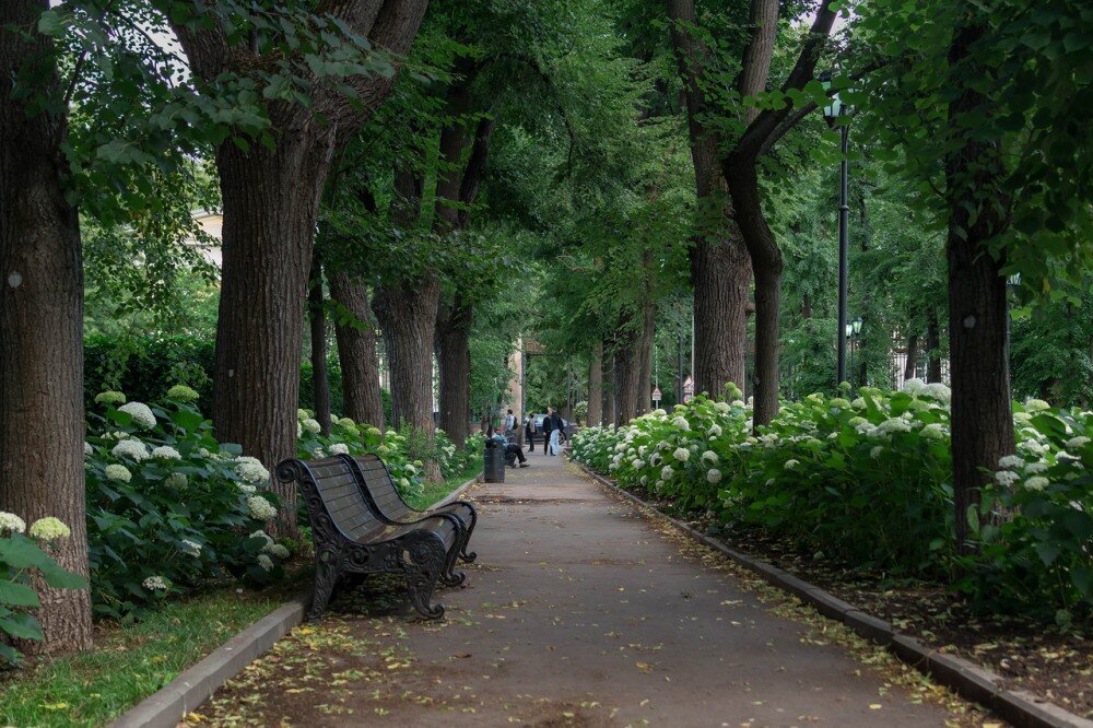 фото из интернета