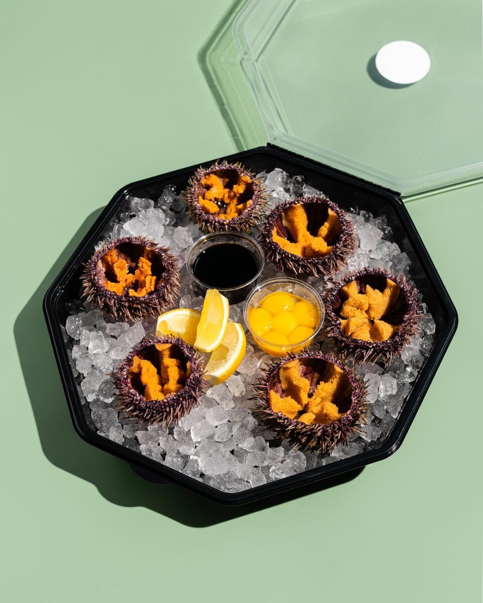 Сет морские ежи